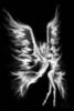Схема вышивки «Ангел ада»
