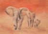 Схема вышивки «Elephants»