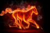 Схема вышивки «Огненая лошадь»