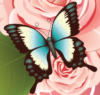 Схема вышивки «Подушка Бабочка и розы»
