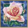 Схема вышивки «Роза нежности»