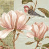 Схема вышивки «Magnolia»