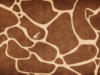 Схема вышивки «Текстура "Жираф"»