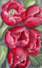 Схема вышивки «Тюльпаны»