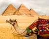 Схема вышивки «Египет, верблюд»