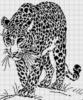 Черно=белый леопард: оригинал