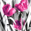 Схема вышивки «Розовые тюльпаны 1»