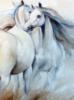 Схема вышивки «Белые кони»