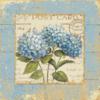 Схема вышивки «Винтажные синие цветы»
