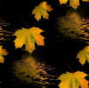 Схема вышивки «Осень.Листья»