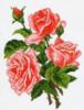Схема вышивки «Букет роз»