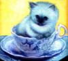 Схема вышивки «Котёнок в чашке»