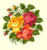 Схема вышивки «Сплетение роз»