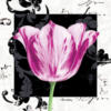 Схема вышивки «Лиловый цветок»