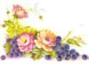 Схема вышивки «Виноград и розы»