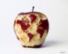 Планета (карта мира) на яблоке: оригинал