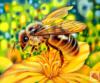 Схема вышивки «Пчёлка на цветке»
