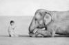 Схема вышивки «Мальчик читает слону»