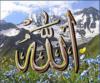 Схема вышивки «Аллах акбар»