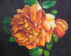 Схема вышивки «Orange rose»