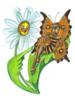 Схема вышивки «Бабочка и ромашка»
