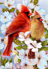 Схема вышивки «Птицы и цветы»