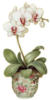 Схема вышивки «Орхидея на белом фоне»