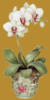 Схема вышивки «Орхидея на темнобежевом фоне»
