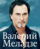 Схема вышивки «Валерий Меладзе»