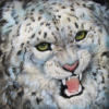 Схема вышивки «Snowleopard»