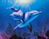 Дельфины под водой!)): оригинал
