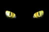 Ах,эти кошкины глаза...: оригинал