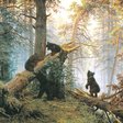 Схема вышивки «Сосновый бор»