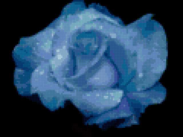 Голубая роза, природа, цветы, роза