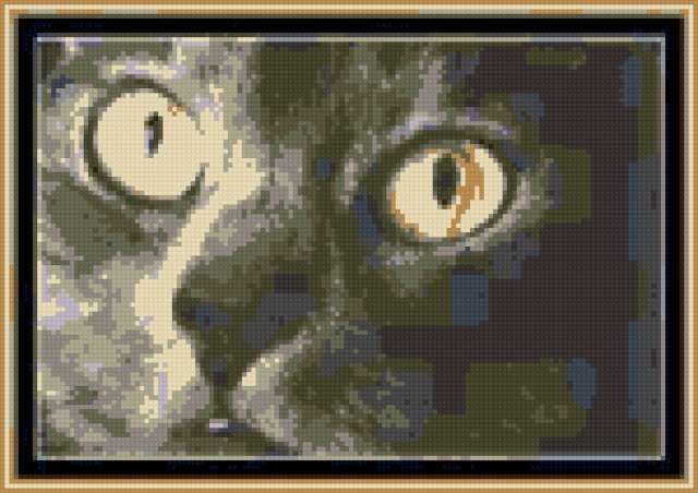 Котя 3, 