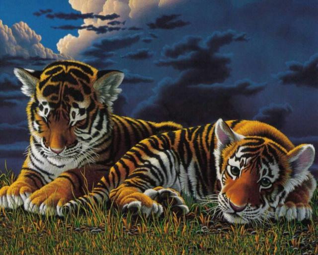 Тигрята, животные