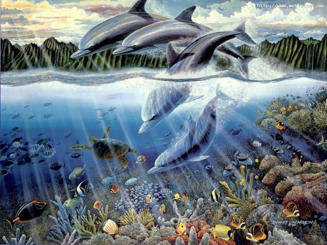 Дельфины, морские обитатели