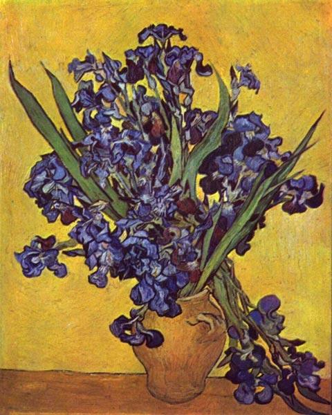 Ван Гог -  Ирисы (1890), ирисы
