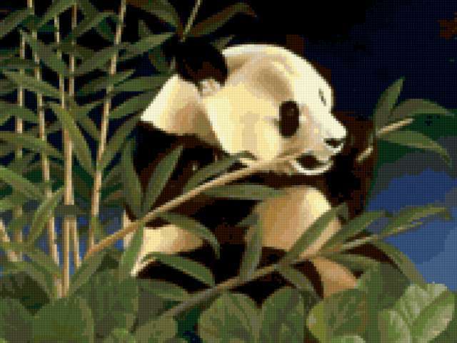 Панда кунг-фу, сказка, знаменитости, животные, китай