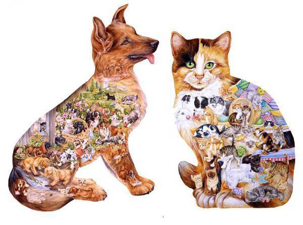 Картинка в картинке(кот и пес), животные, сказка