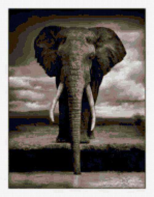 Слонопотам, 