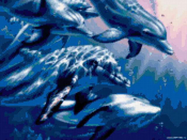 Дельфины, морская фауна