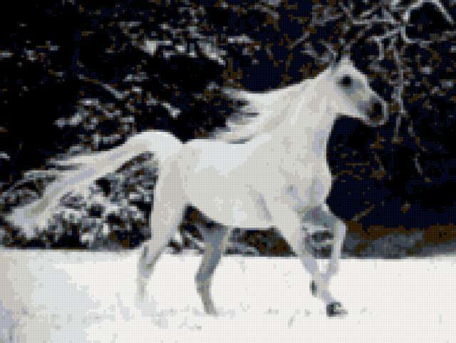 Белый конь, животные