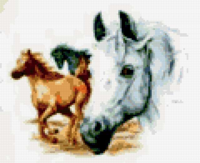 Лошади, животные