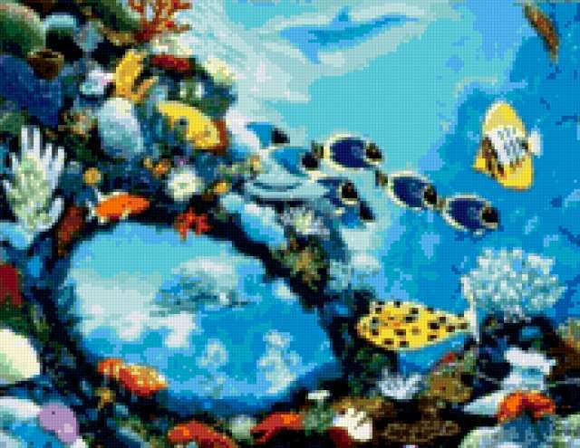 Подводный мир, рыбы, море, аквариум, морские обитатели
