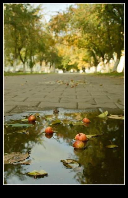 Золотая осень, природа, осень