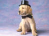 Схема вышивки «Собака в шляпе»