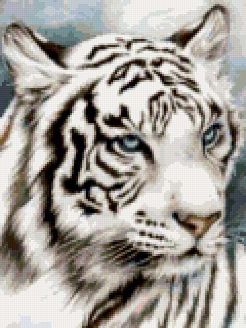 White_Tiger, котёнок