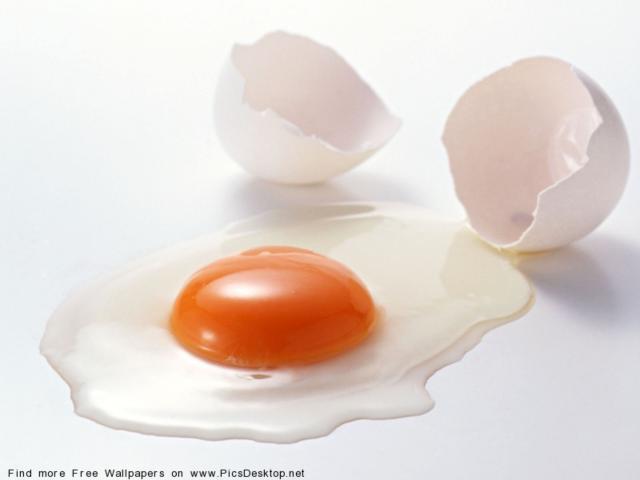 Яйцо, картинка