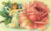 Схема вышивки «Ангел с розой»